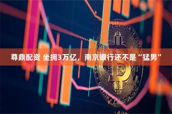 尊鼎配资 坐拥3万亿，南京银行还不是“猛男”