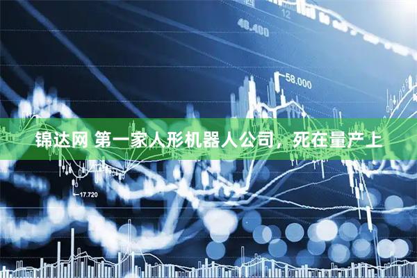 锦达网 第一家人形机器人公司，死在量产上
