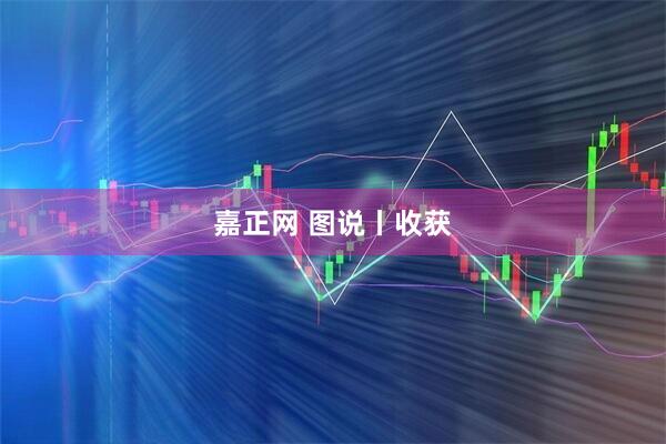 嘉正网 图说丨收获