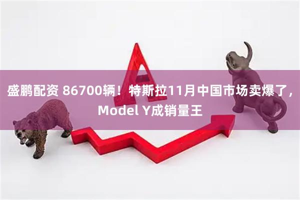 盛鹏配资 86700辆！特斯拉11月中国市场卖爆了，Model Y成销量王