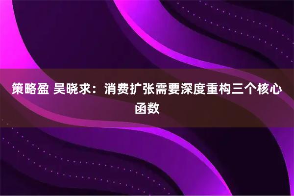 策略盈 吴晓求：消费扩张需要深度重构三个核心函数